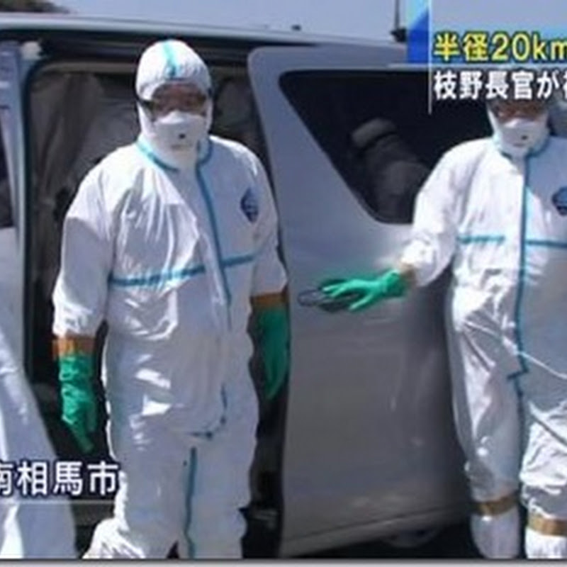 フル アーマー 枝野